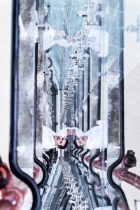 Photo: _DSC6817