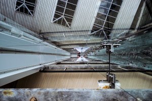 Photo: _DSC6860